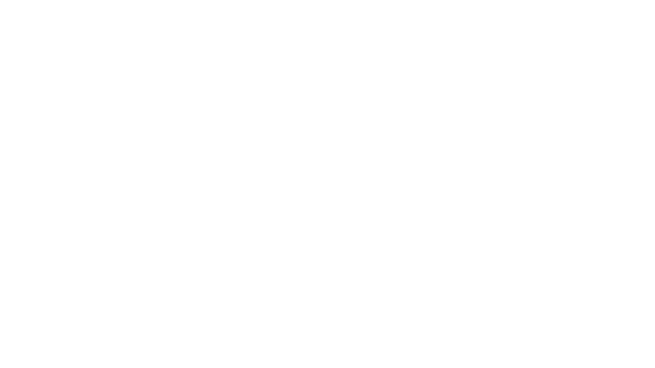 SGS Brightsight Logo